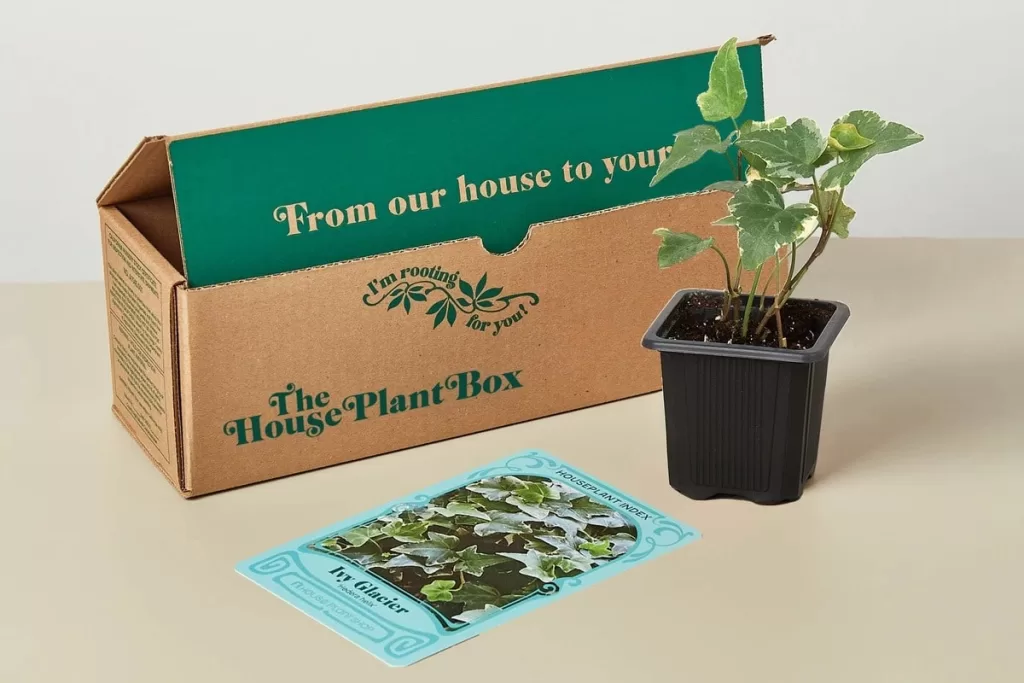 best plant subscription boxes