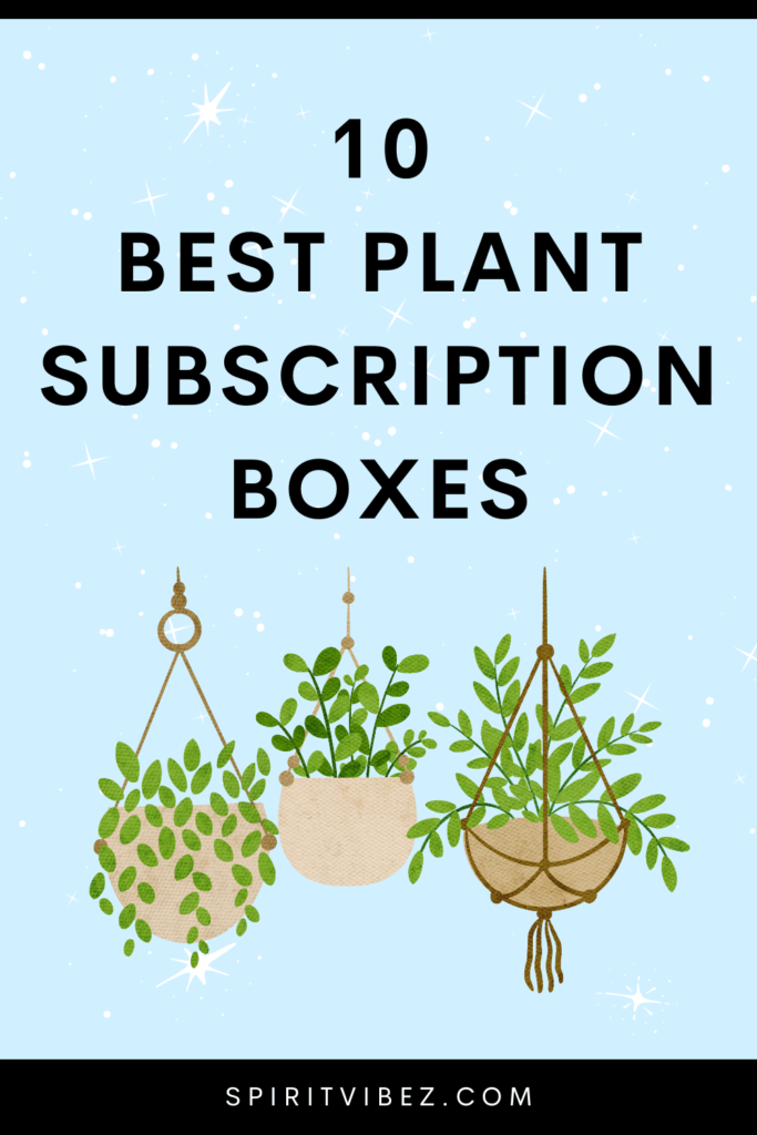 best plant subscription boxes