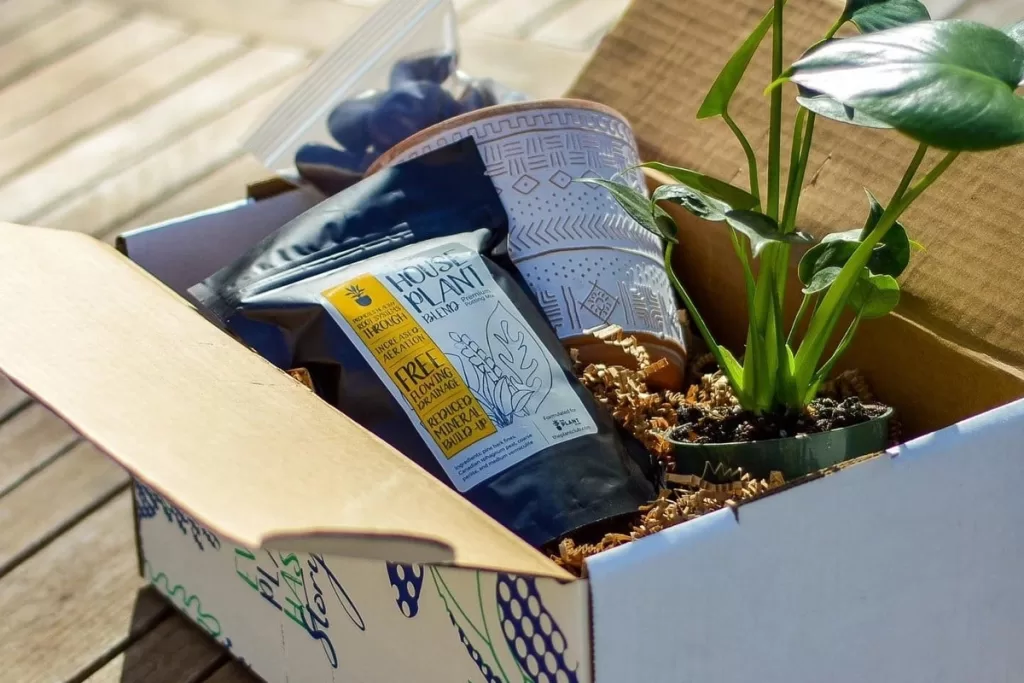 10 best plant subscription boxes